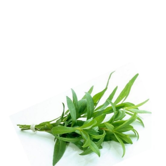 D&D TARRAGON 30g