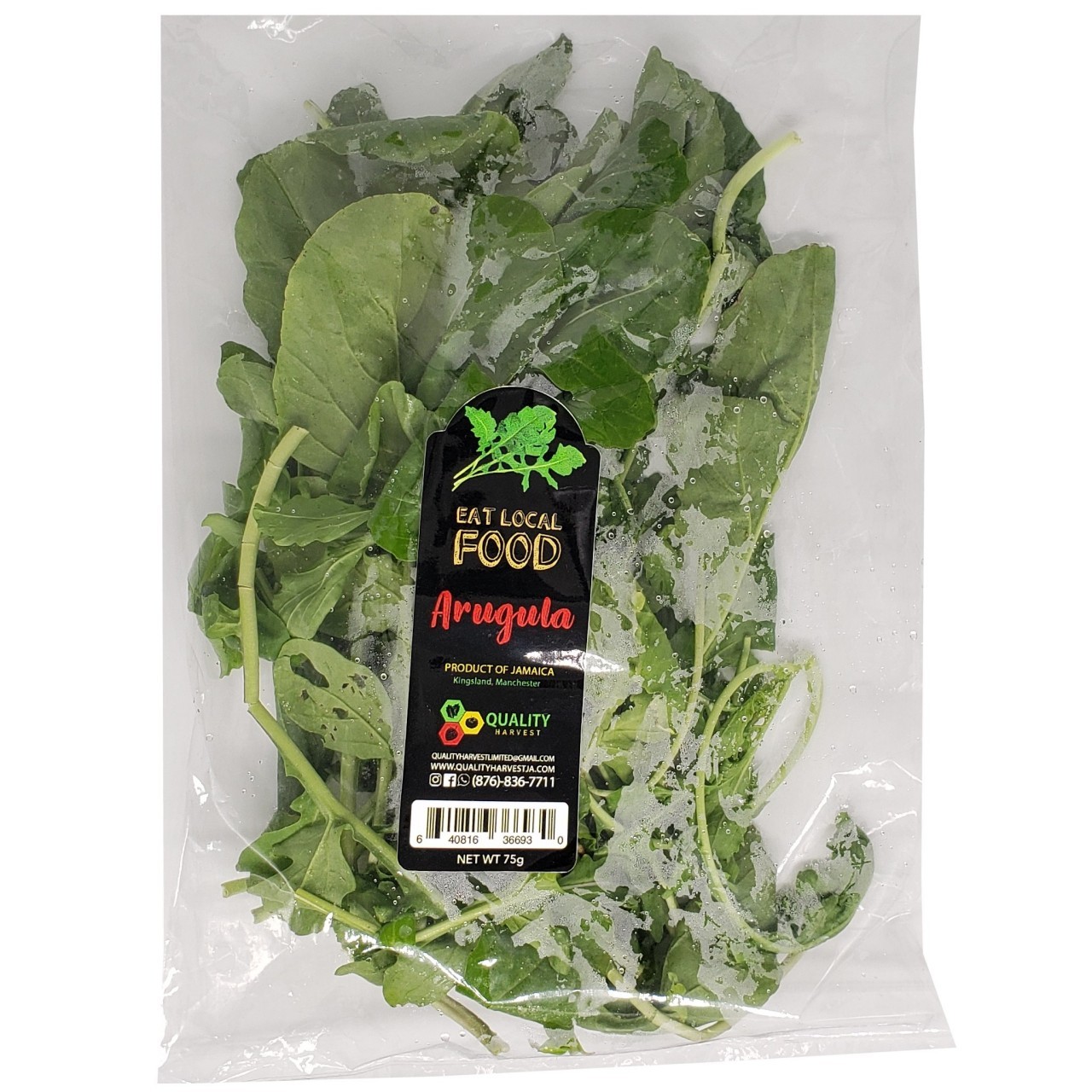 QUALITY HARVEST ARUGULA 75g