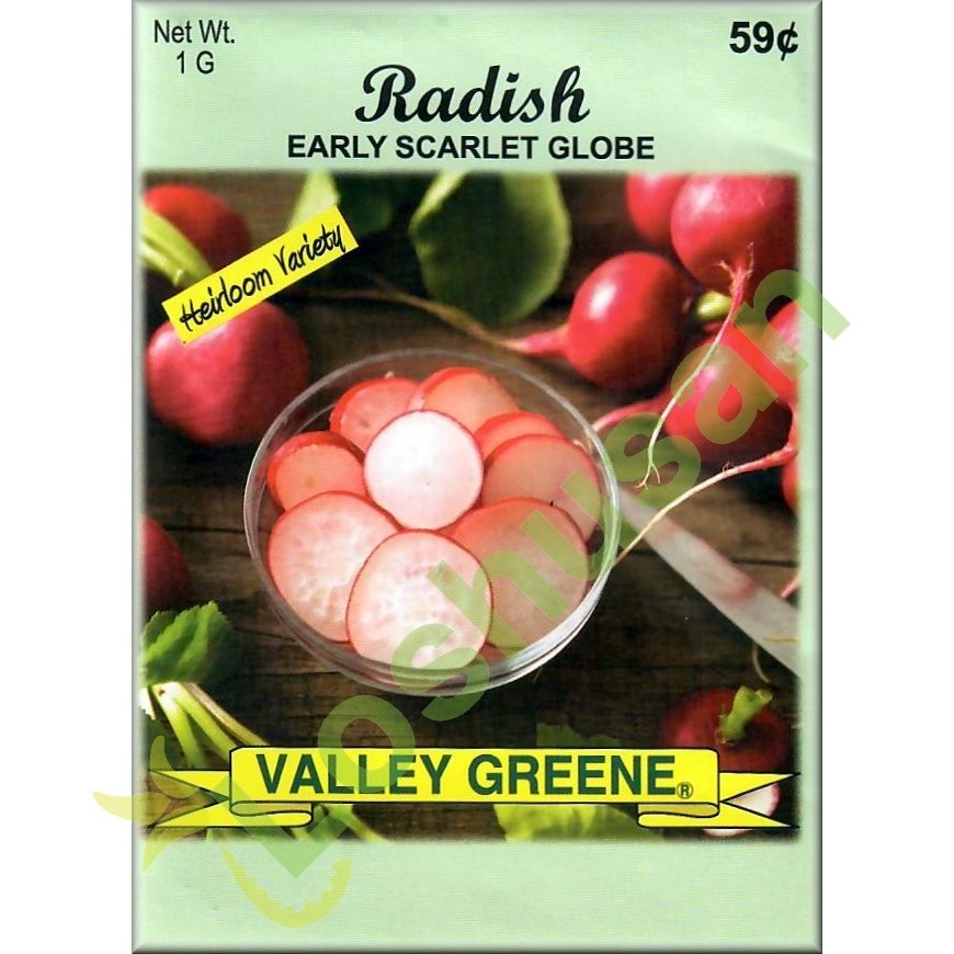 VALLEY GREENE SEEDS RADISH 1g