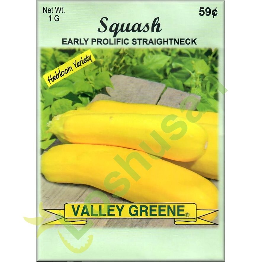 VALLEY GREENE SEEDS SQUASH STRGHTNECK 1g