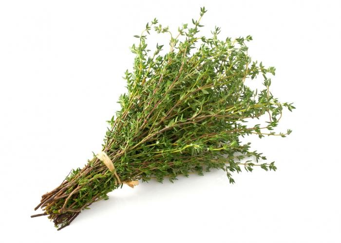 QUALITY HARVEST THYME 25g