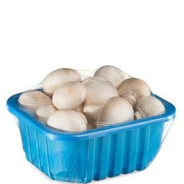 MUSHROOMS BUTTON vwt