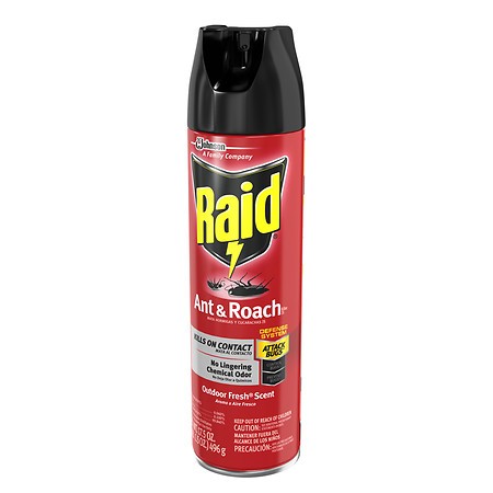 RAID ANT ROACH OUTDOOR FRESH 17oz