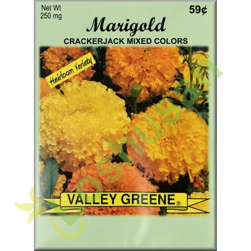 VALLEY GREENE SEEDS MARIGOLD JACK 250mg