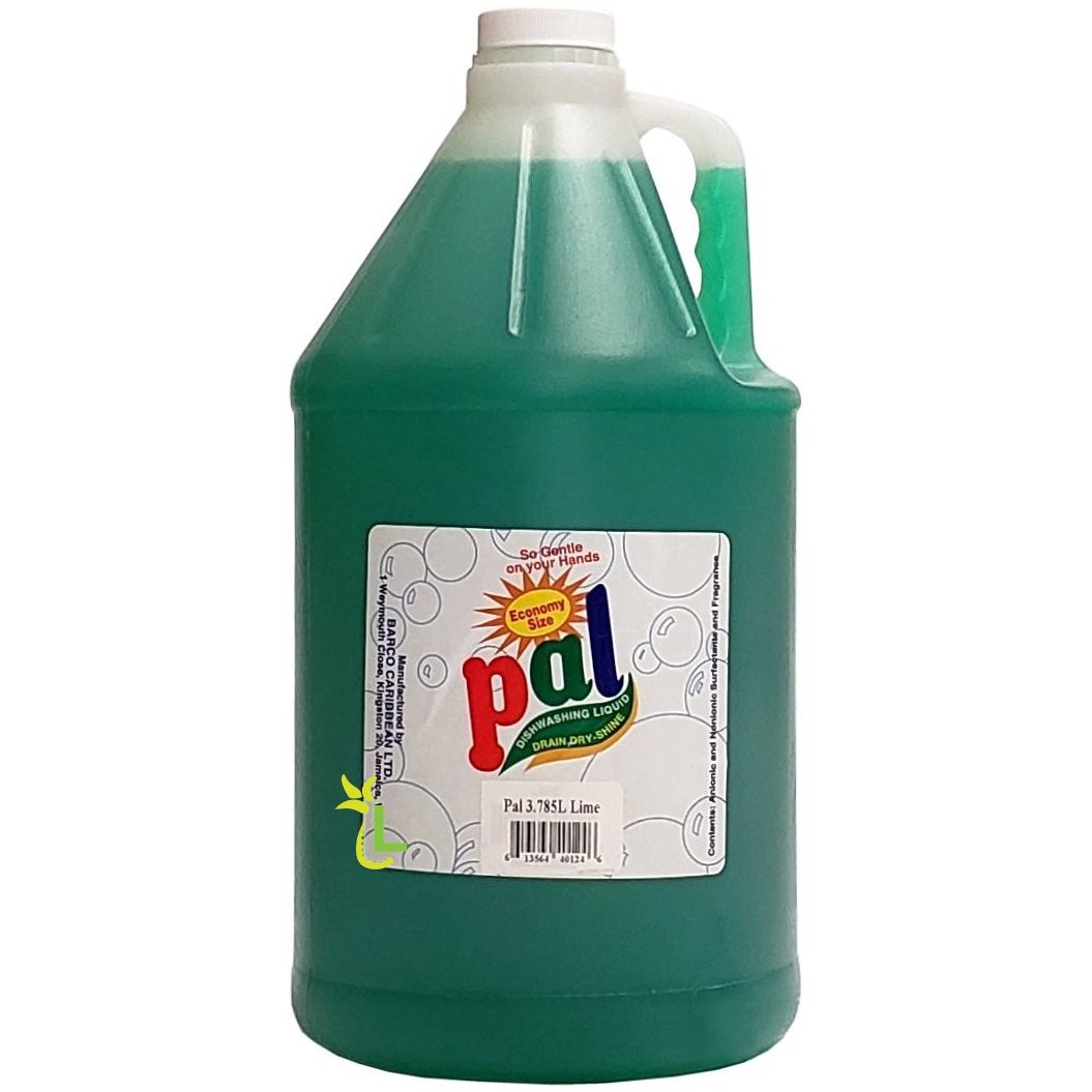 PAL DISHWASHING LIQUID LIME 3.8L
