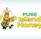 Pure Island