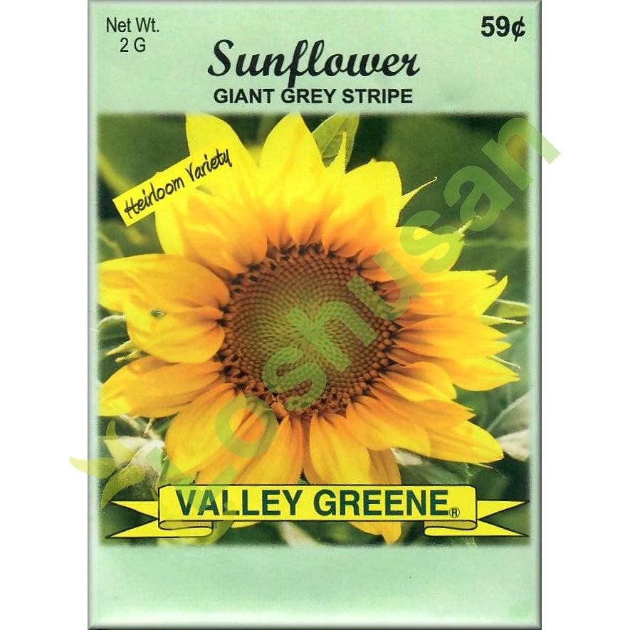 VALLEY GREENE SEEDS SUNFLOWER 2g