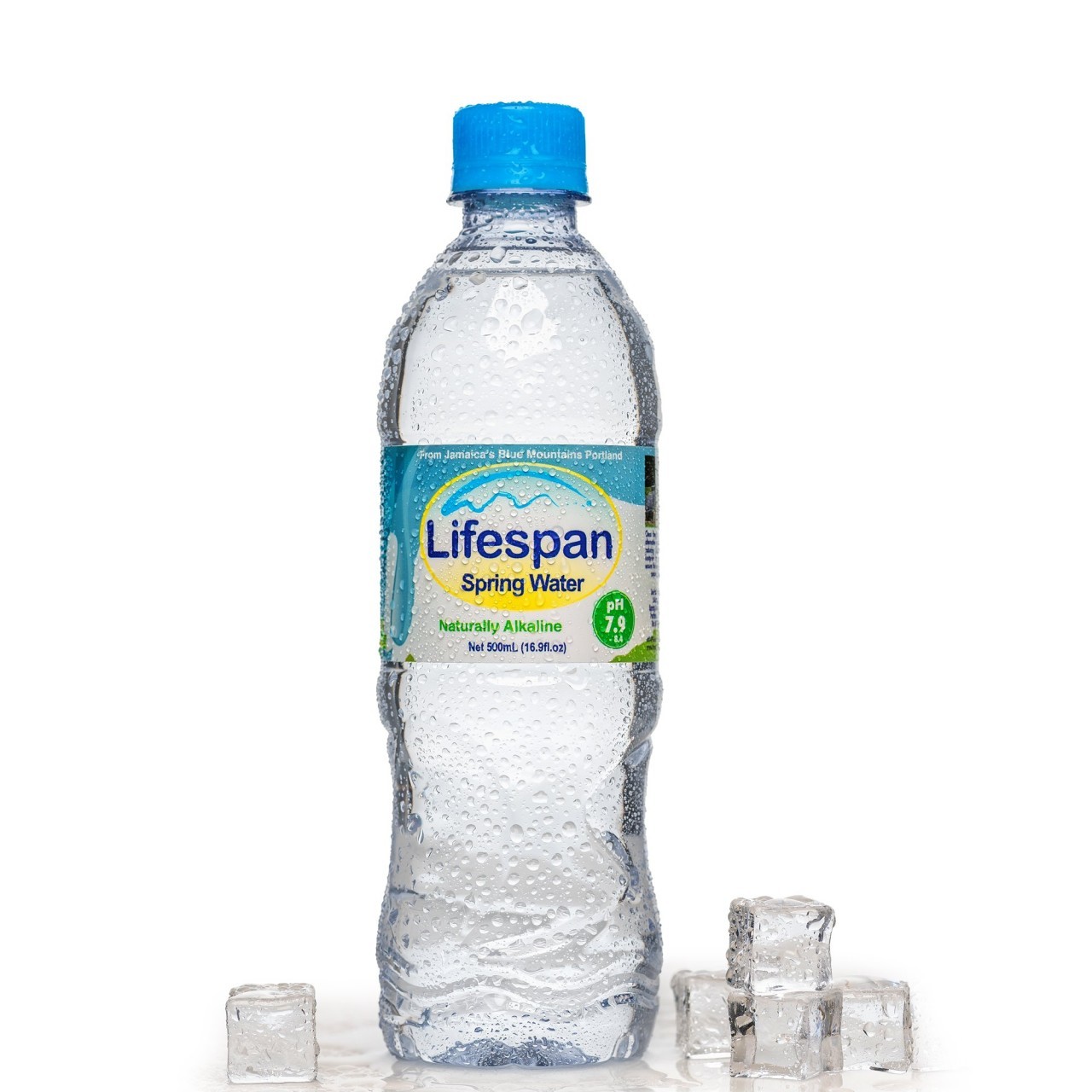 LIFESPAN SPRING WATER 500ml