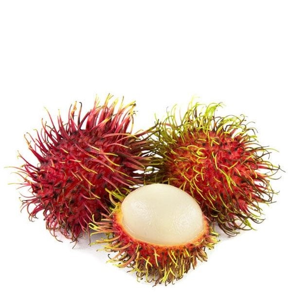 RAMBUTAN vwt