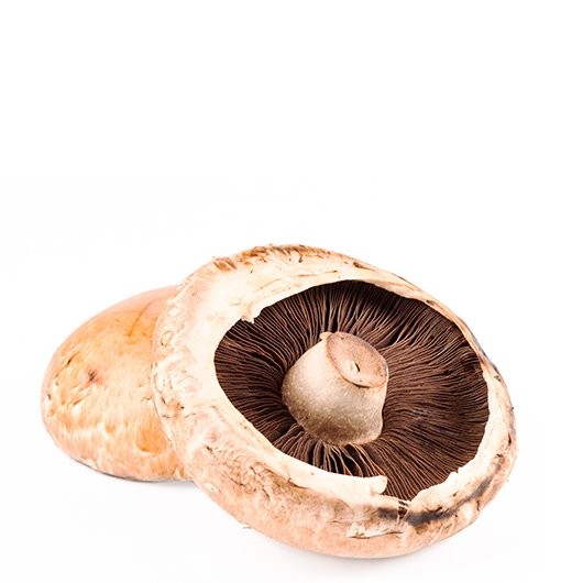 MUSHROOMS PORTABELLA vwt