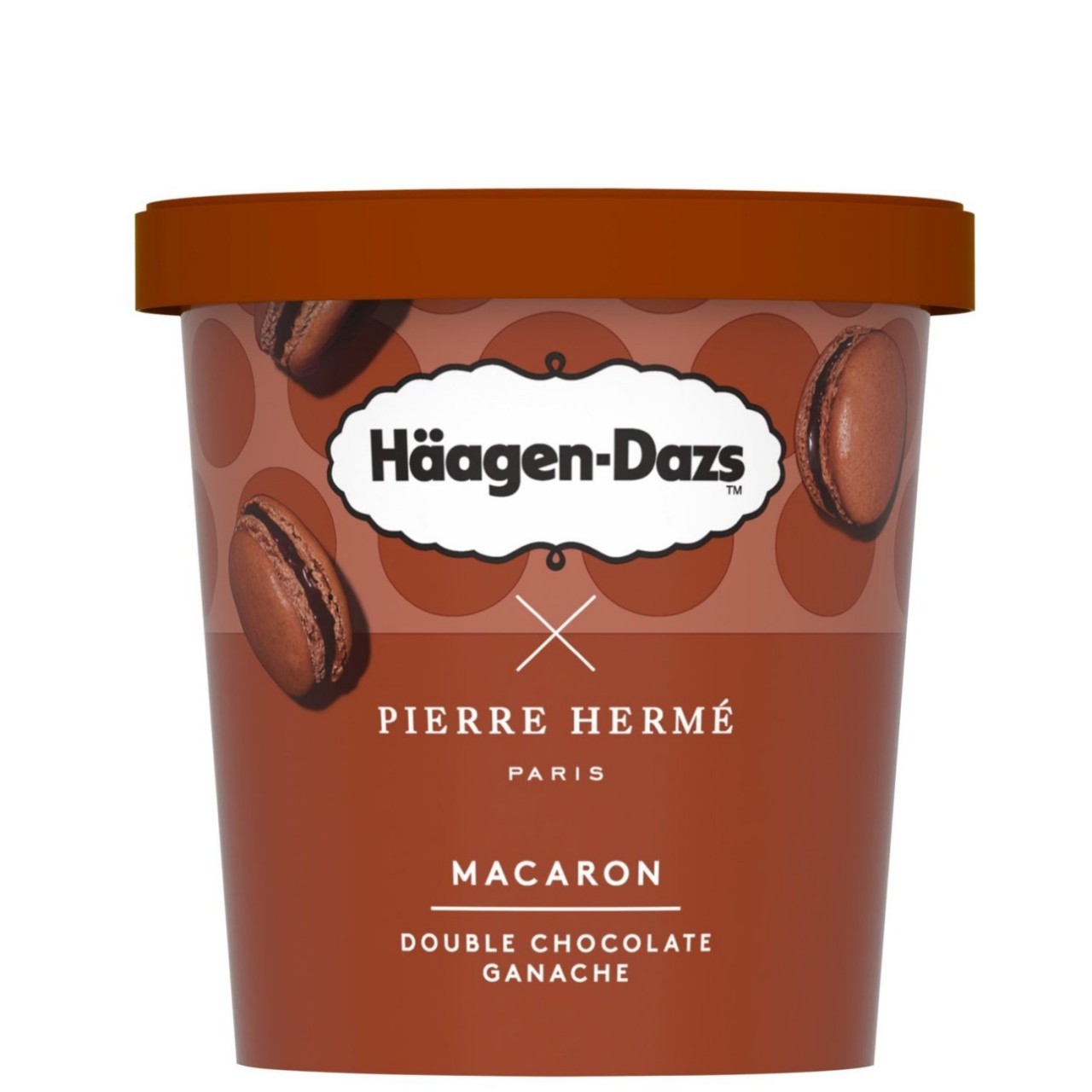 HAAGEN DAZS DBL CHOCOLATE GANACHE 420ml