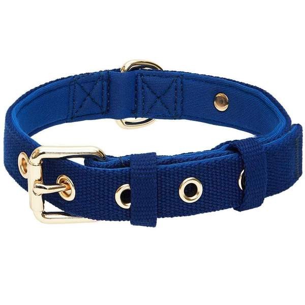 Blueberry Pet New Classic Modern Iconic Neoprene Padded Dog Collar- Medium (Indigo Blue)