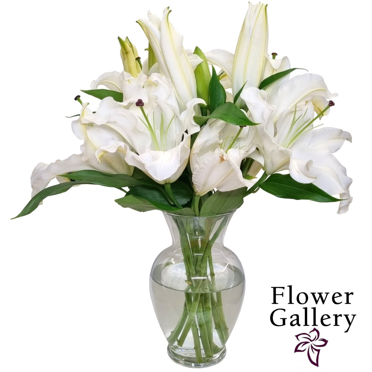 FLOWER GALLERY LILIES HALF BUNCH
