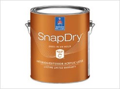 3.8 ltr. Extra White Snap Dry Paint