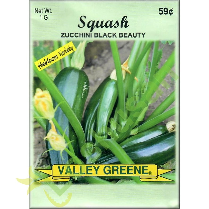 VALLEY GREENE SEEDS SQUASH BLK BEAUTY 1g