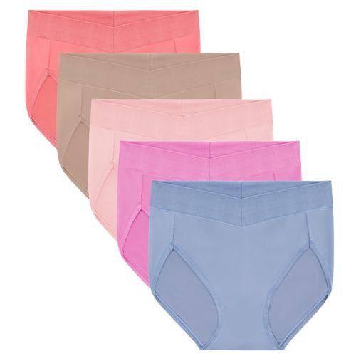 Carol Hochman Smoothing Hi Cut Panties 5 Units