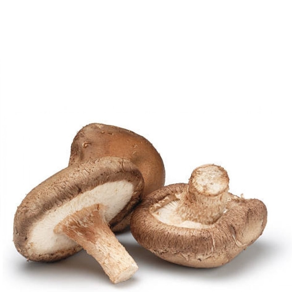 MUSHROOMS SHITAKE vwt