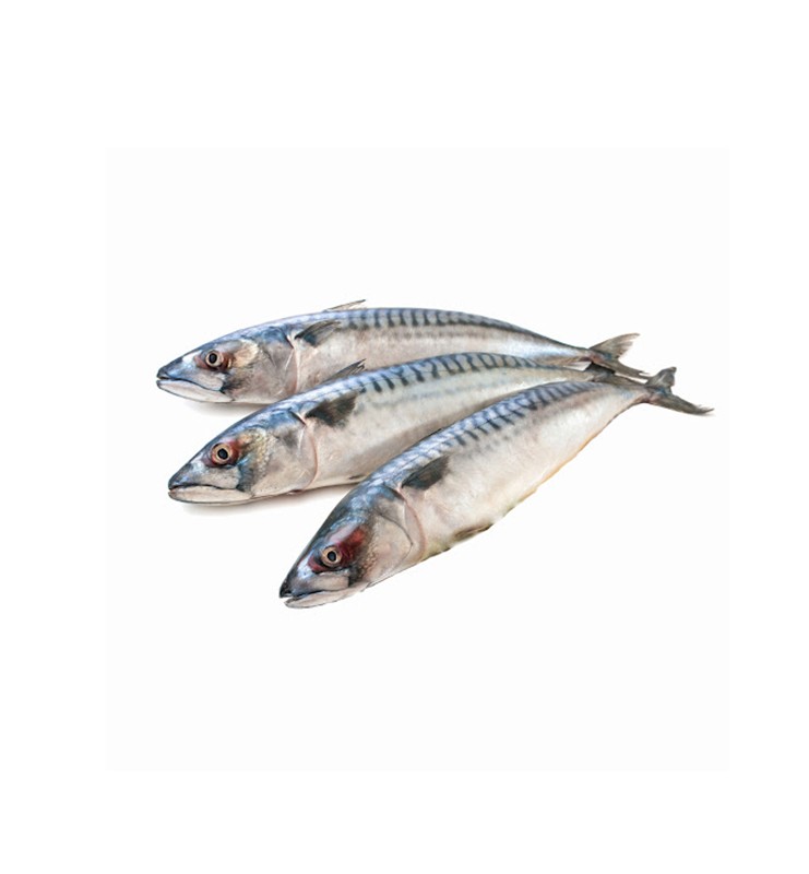 MACKEREL PICKLED PER KG