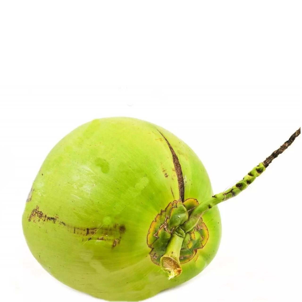 COCONUTS JELLY 1ea