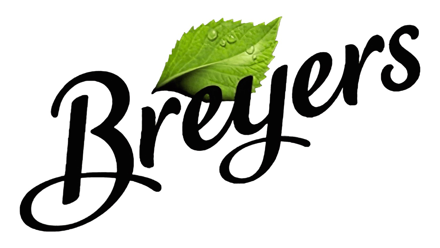 Breyers