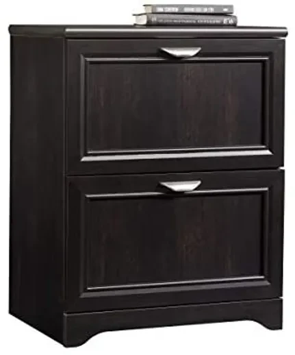Realspace® Magellan 24"W 2-Drawer Lateral File Cabinet, Espresso