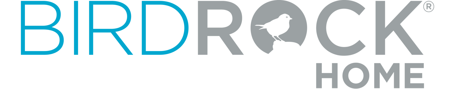 BirdRock Home