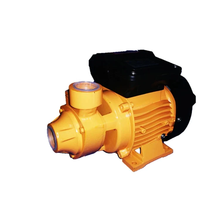 Glong Water Pump 0.5HP