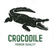 Crocodile