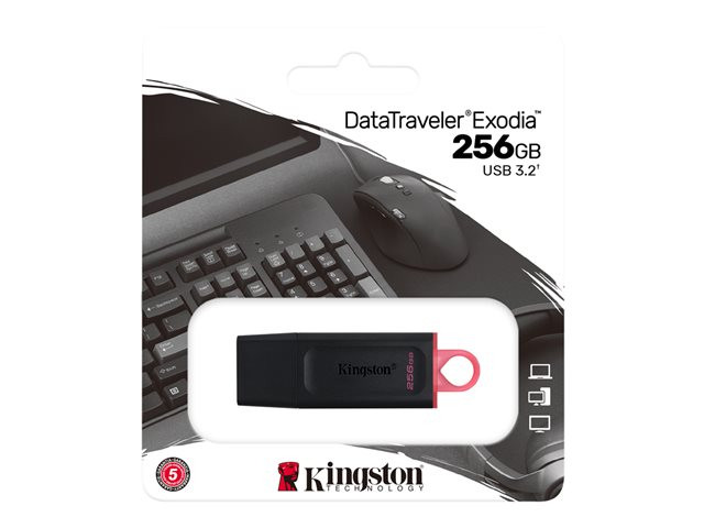 Kingston DataTraveler Exodia - USB flash drive - 256 GB/ USB 3.2 Gen 1 black/pink