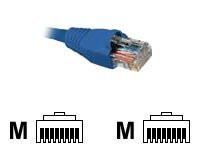Nexxt - Patch cable - RJ-45 (M) to RJ-45 (M)