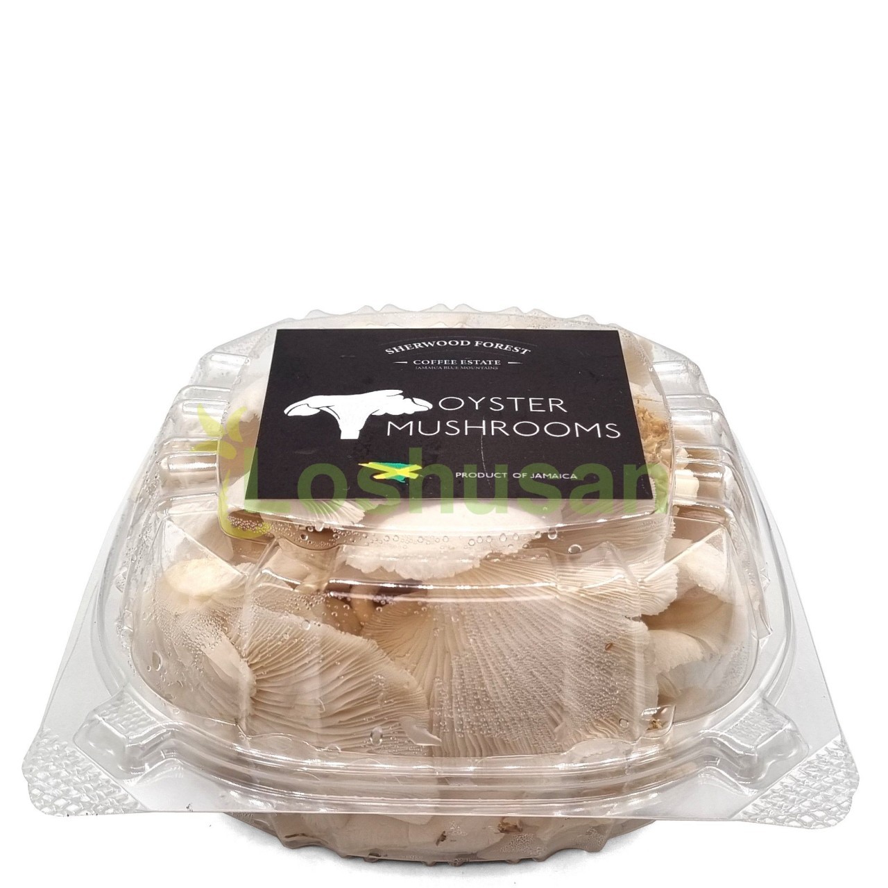 SHERWOOD FOREST MUSHROOMS OYSTER 152g
