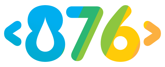 876