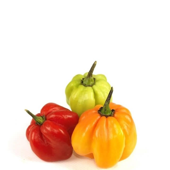 PEPPERS SCOTCH BONNET pk