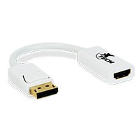 Xtech - Display adapter - 20 pin DisplayPort