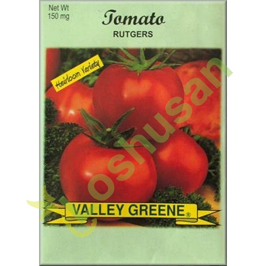 VALLEY GREENE SEEDS TOMATO RUTGERS 150mg