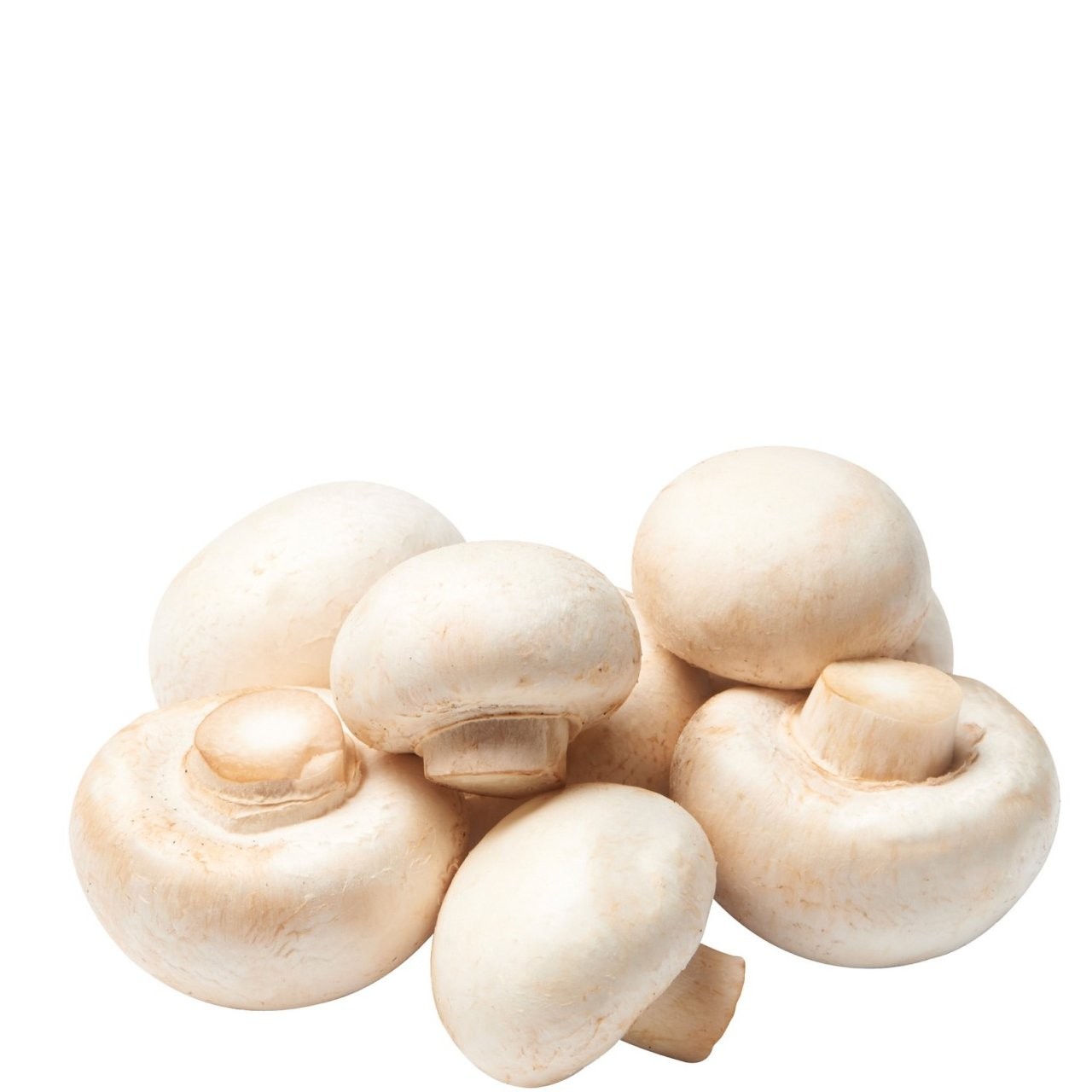 MUSHROOMS BUTTON CELLO 16oz