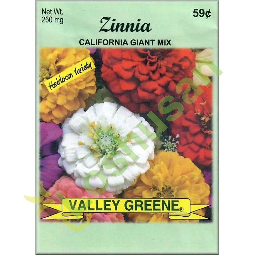 VALLEY GREENE SEEDS ZINNIA CALIFOR 250mg