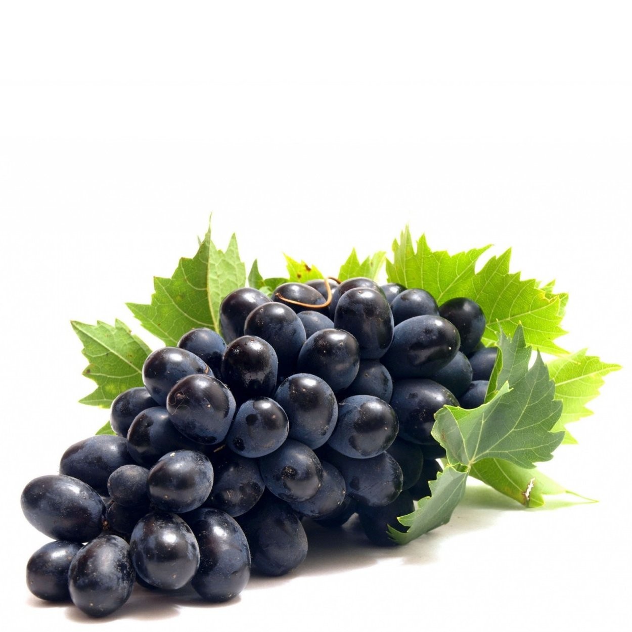 GRAPES BLACK SEEDLESS vwt