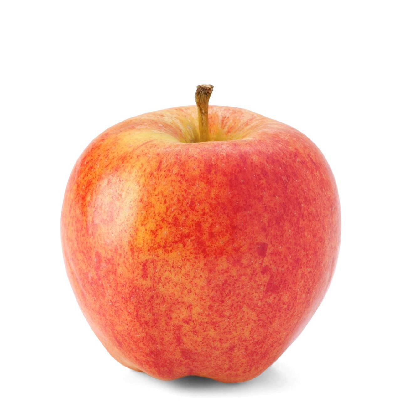 APPLES ROYAL GALA vwt.