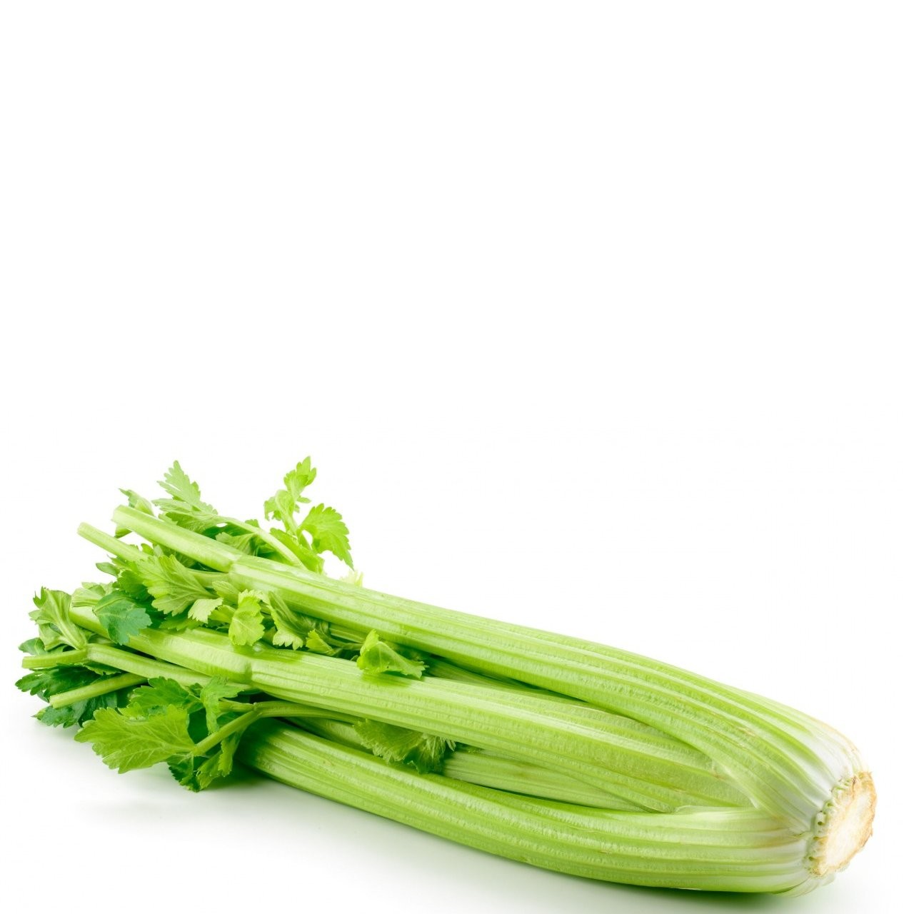 CELERY IMP vwt