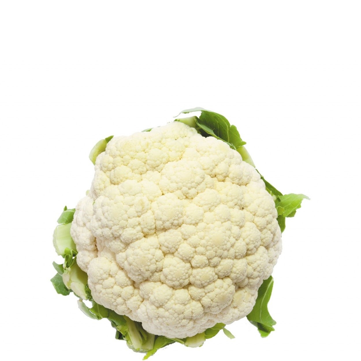 CAULIFLOWER LOCAL vwt