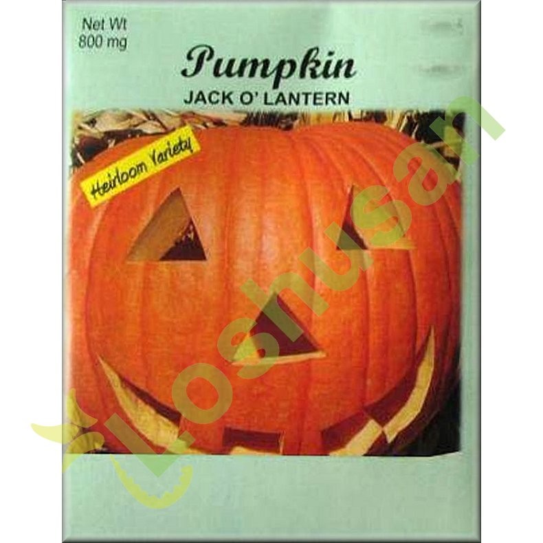 VALLEY GREENE SEEDS PUMPKIN JACK O 800mg