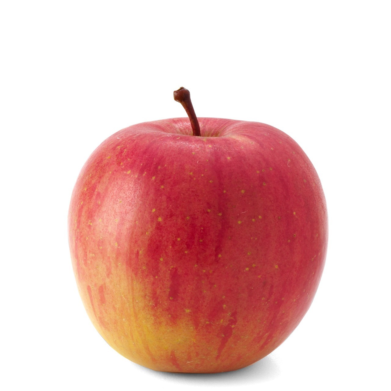 APPLES FUJI vwt