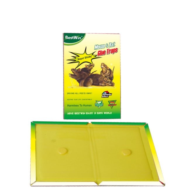 BESTWIN GLUE TRAP med