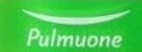 Pulmuone