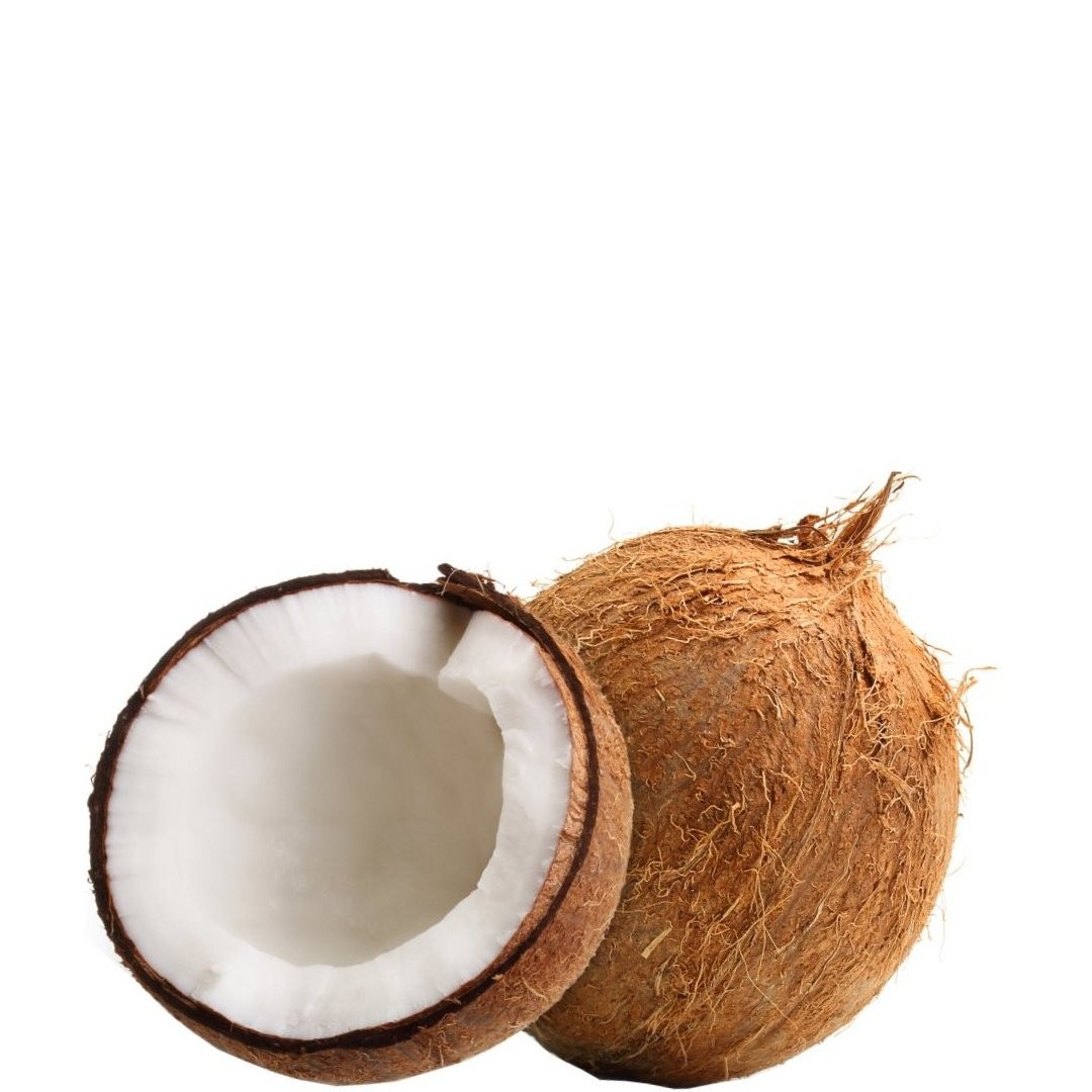COCONUTS DRY 1ea