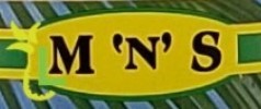 M N S
