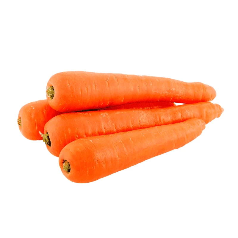 CARROT KG