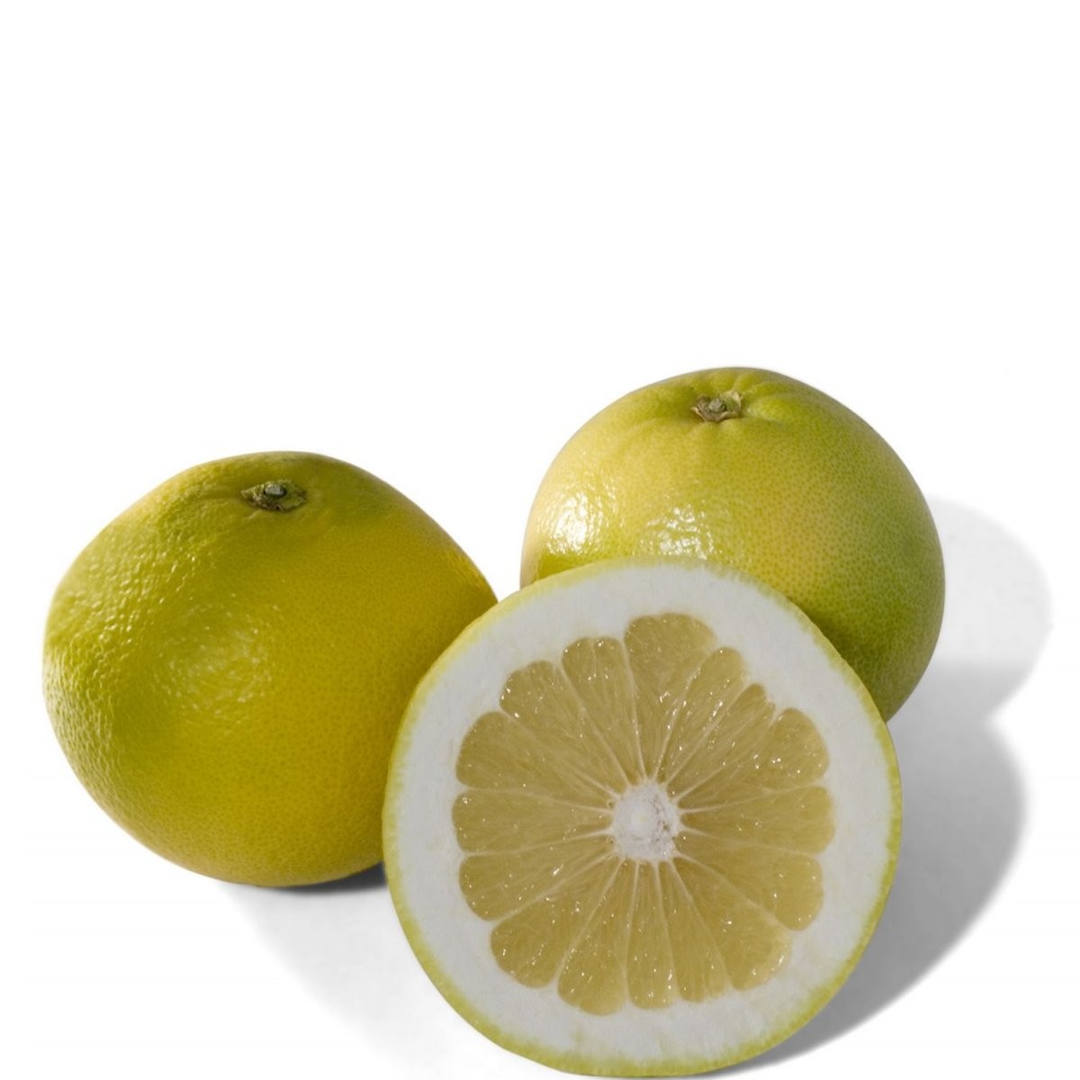 GRAPEFRUIT WHITE BAG 6ct