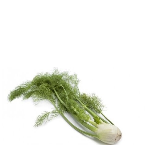 D&D FENNEL 35g